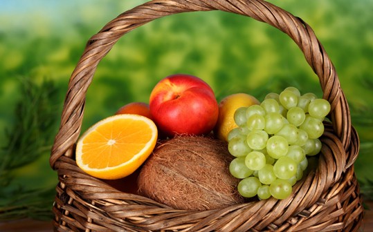 organic life