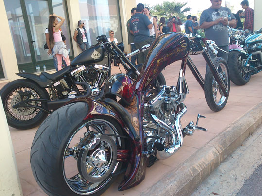 harley-6