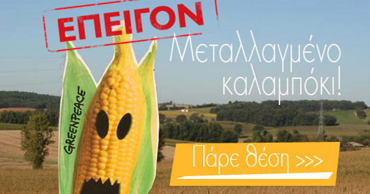 07-kalampoki