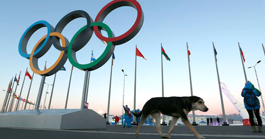 12-sochi
