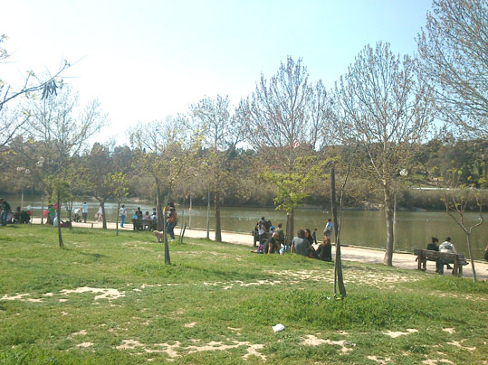 parko-tritsi-6
