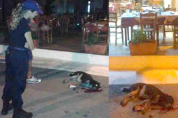 18-psistaria-kostas-9