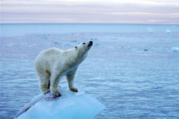 04-klimatiki-allagi-9