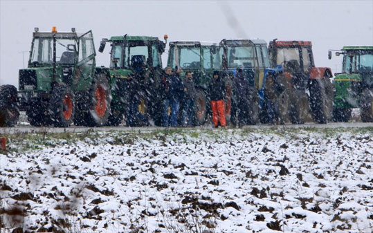 20-agrotes-0