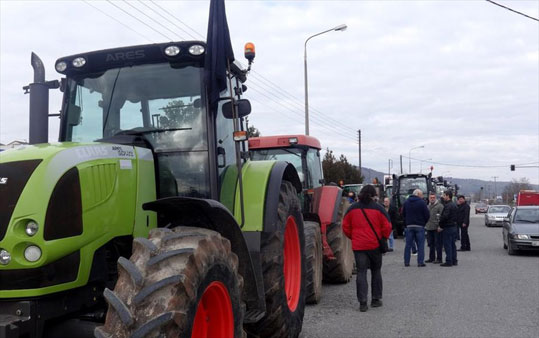 20-agrotes-6