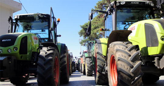 02-agrotes-dotes-m