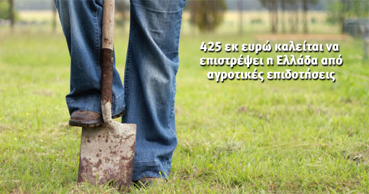 08-epidotiseis 2