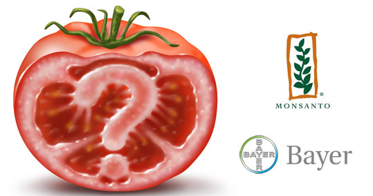 19-monsanto