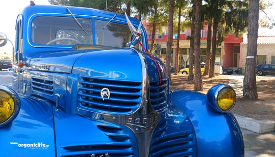 04-dodge-4