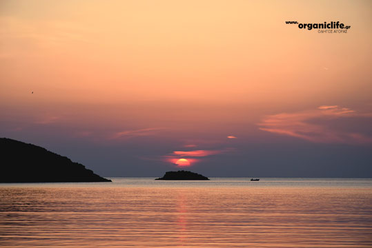 06-ilovma