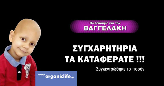16-bagelakis