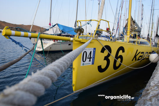 22-regatta-7