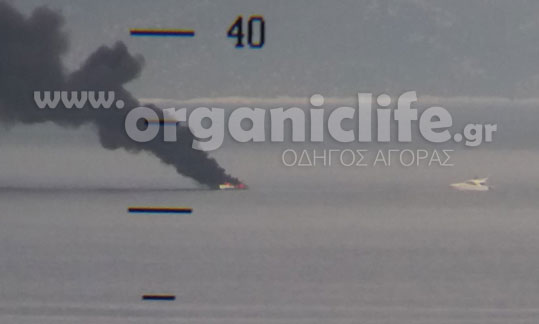 18-fotia-3