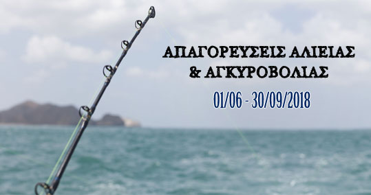 29-alieia