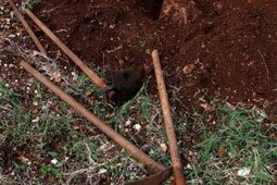 08-meleneklis-tafos-alistrati-serres-9