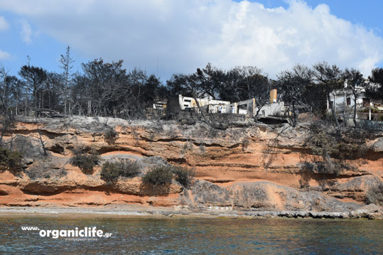 27-rafina-6