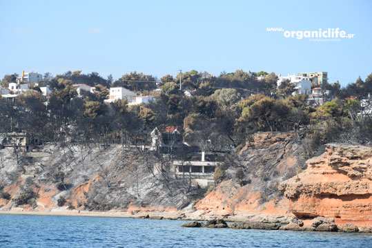 27-rafina-8