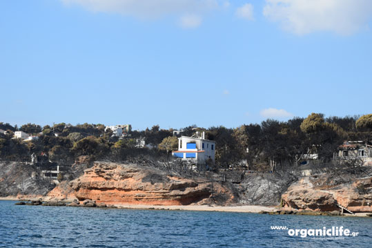 27-rafina-9