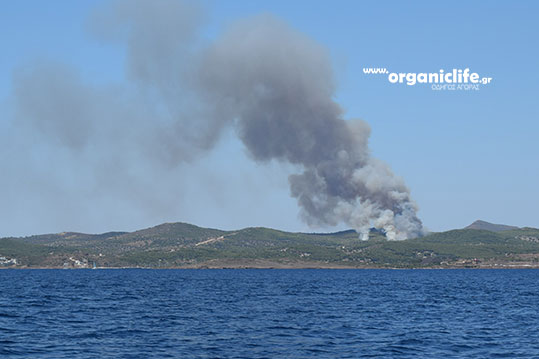 23-lavrio-fotia-2