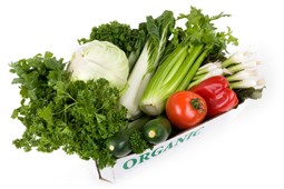 organic_bio