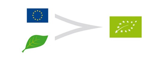 logo_1