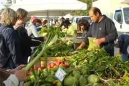 organic_laiki