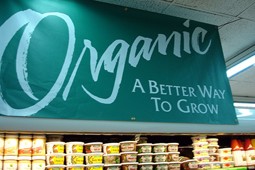 organic_9