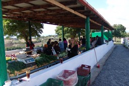 biologiki_laiki_giannitsa_9