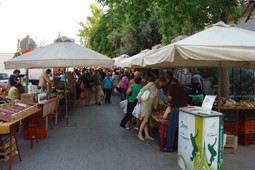 organic_market