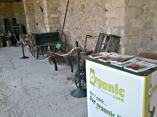 organic_19