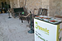 organic_9