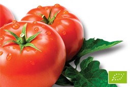 organic_tomatoe_9