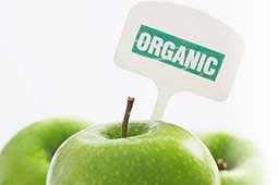 organic_9