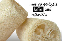 28-luffa-9