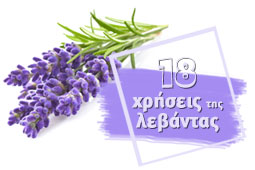 15-elaio-levantas-9