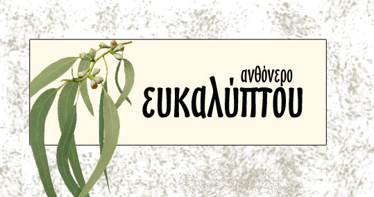 24-eukaliptos