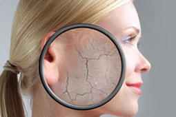 06-derma-9