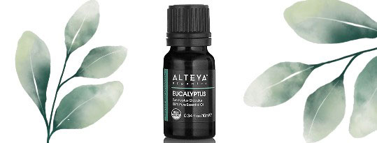 organic-brands-eucalyptus