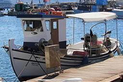 08-neitsa-9