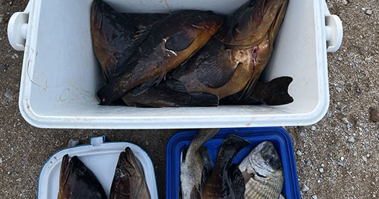 27-paranomos-alieas-xaxos-2