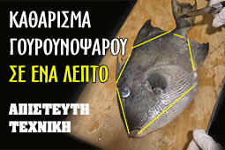 09 kataherisma-gourounopsarou-se-ena-lepto-9