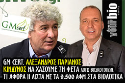 03-alexandros-parianos-gm-cert-9