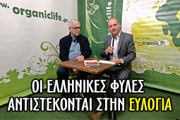 17-athanasios-garsen-eulogia-ellinikes-files-9