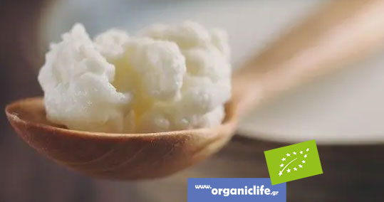 24-kefir