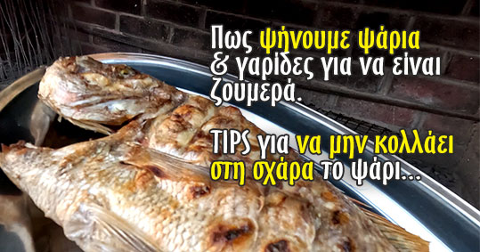 25-pos-psinoume-psaria