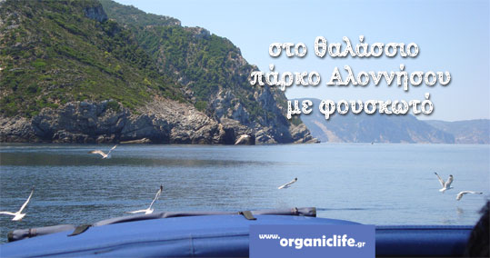 alonnisos-banner