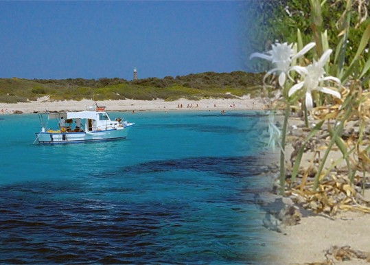 mantraki