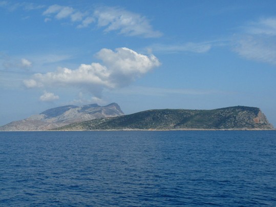 piperi