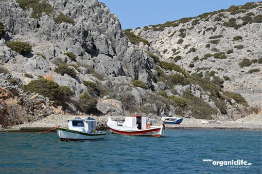 16-astypalaia-vai-2