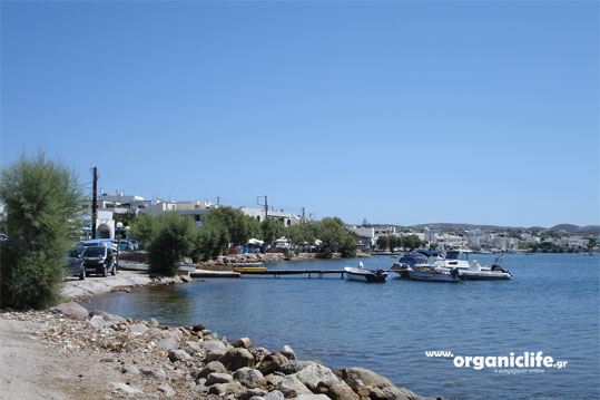 milos-adamantas-7